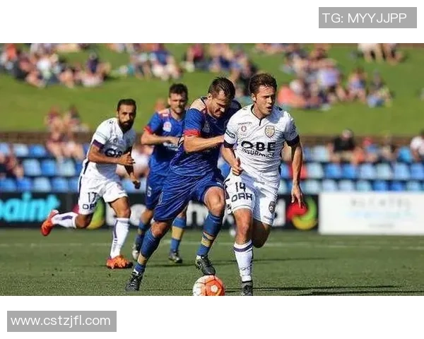 惠灵顿对阵珀斯的胜平负分析及赛前预测详解